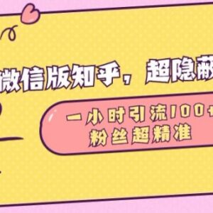 2024微信问一问引流实操 低门槛获取高精准高质量私域粉丝-雨叶虚拟资源网
