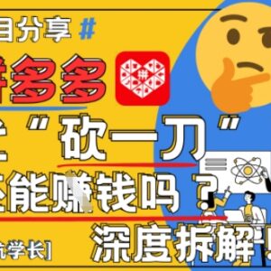 2025拼多多代砍助力项目深度拆解 盈利可行性及全流程玩法解析-雨叶虚拟资源网