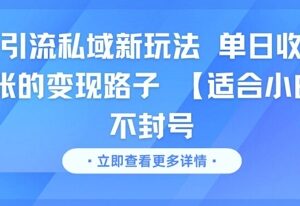 适合小白的男粉私域引流不封号玩法 高收益变现实操攻略-雨叶虚拟资源网