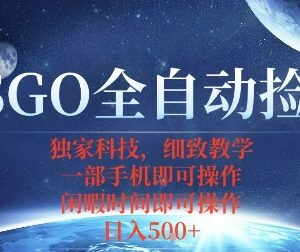 CSGO饰品自动捡漏赚差价项目详解 无需盯盘手机可操作新手易上手-雨叶虚拟资源网