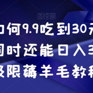 9.9元吃30元外卖实操方法 外卖薅羊毛日入300技巧教程-雨叶虚拟资源网
