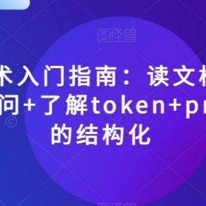 AI提示术新手入门全指南 读文档/有效提问/Token/结构化技巧汇总-雨叶虚拟资源网