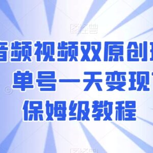 视频号音频视频双原创实操教程 助力过原创开通创作者分成权益-雨叶虚拟资源网