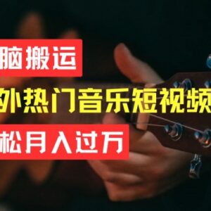 搬运海外TikTok音乐短视频实操教程 低门槛副业赚钱方法详解-雨叶虚拟资源网