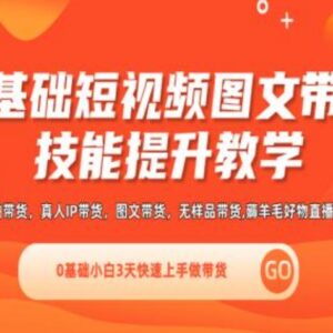 0基础短视频图文带货实操技能课 含直播视频课新手3天快速上手-雨叶虚拟资源网