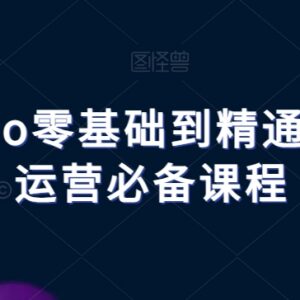 抖音SEO零基础到精通系统教程 短视频运营从业者必备学习资料-雨叶虚拟资源网