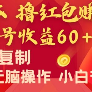 0成本安卓手机撸红包赚收益项目 单号收益60+可批量复制-雨叶虚拟资源网