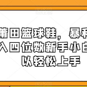 莆田篮球鞋售卖盈利项目解析 新手易上手的低门槛实操教程-雨叶虚拟资源网