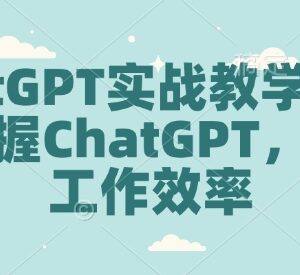 ChatGPT全套实战教学 多场景操作指南助力快速提升工作效率-雨叶虚拟资源网
