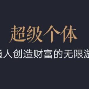 2024-2025超级个体翻盘指南 普通人创富成长全套课程-雨叶虚拟资源网