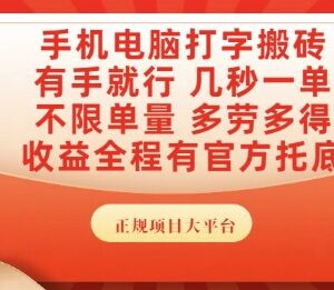 正规打字搬砖副业项目详解 手机电脑可操作可发展为主业-雨叶虚拟资源网