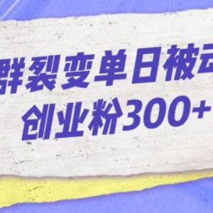 微信群裂变被动引流创业粉玩法 单日引流300粉实操全流程揭秘-雨叶虚拟资源网