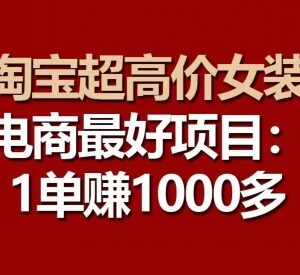 淘宝超高价女装高利润项目实操 从选款到矩阵运营全流程教学-雨叶虚拟资源网