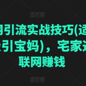 适合微商宝妈的互联网引流技巧 宅家短视频赚钱实操教程-雨叶虚拟资源网