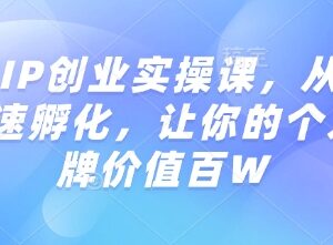 知识IP创业实操课 从0到1孵化打造高价值个人品牌-雨叶虚拟资源网