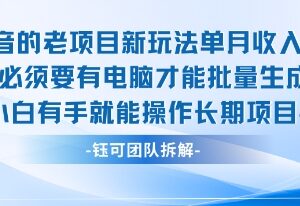 抖音老项目AI新玩法详解 小白易操作单月入2万可长期运营-雨叶虚拟资源网