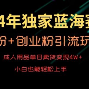 2024成人用品卖货玩法 男粉创业粉引流变现实操教程-雨叶虚拟资源网