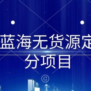 淘宝蓝海无货源定制细分项目 从0到起店实操全流程指南-雨叶虚拟资源网