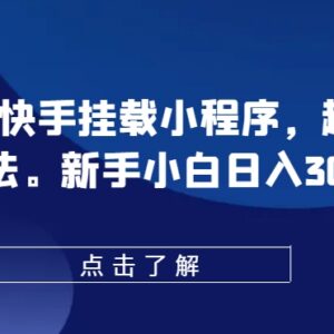 0粉抖音快手挂载小程序教程 超级变脸玩法新手变现操作指南-雨叶虚拟资源网