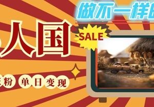 DeepSeek制作小人国微观短视频教程 小白易上手可快速涨粉变现-雨叶虚拟资源网