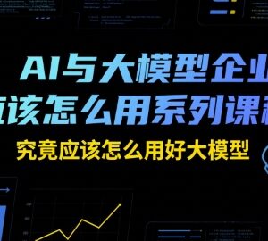 企业如何用好AI大模型 25个全行业落地应用案例课程详解-雨叶虚拟资源网