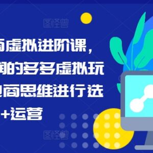 拼多多虚拟电商进阶课 高利润玩法选品运营全流程实操教学-雨叶虚拟资源网