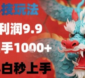 零门槛9.9元单利润信息差项目 新手小白可轻松上手实操指南-雨叶虚拟资源网