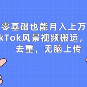 TikTok风景视频搬运赚钱玩法拆解 零基础简单操作即可获收益-雨叶虚拟资源网