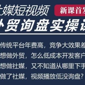 B2B外贸工厂五大社媒短视频获客课 从0到1跑通拿精准询盘-雨叶虚拟资源网