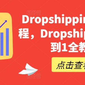 Dropshipping从0到1全流程教程 零基础建站选品运营实操指南-雨叶虚拟资源网