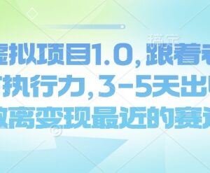 闲鱼虚拟项目1.0实操教程 有执行力新手3-5天即可获得收益-雨叶虚拟资源网