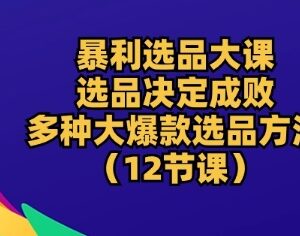 12节系统电商选品课程 掌握多维度爆款选品核心实操方法-雨叶虚拟资源网