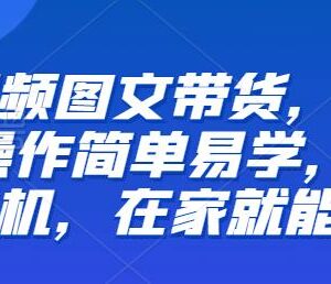 零基础短视频图文带货实操教程 一部手机在家即可操作学习-雨叶虚拟资源网