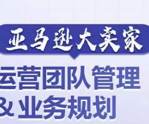亚马逊大卖家运营团队搭建管理及业务规划实操指南-雨叶虚拟资源网