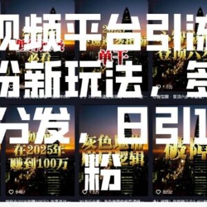2025短视频平台引流创业粉新玩法 多平台分发实操全指南-雨叶虚拟资源网