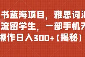 小红书蓝海项目实操:靠雅思词汇资料引流留学生 操作简单易变现-雨叶虚拟资源网