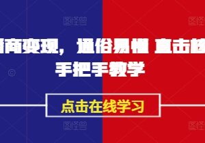 AI播商变现全流程实操课 零基础入门手把手教学-雨叶虚拟资源网