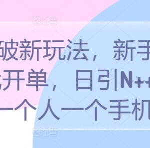 2024S粉引流变现新玩法 新手单人单手机操作首日即可开单-雨叶虚拟资源网