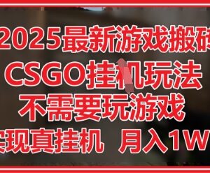 2025年CSGO游戏搬砖项目详解 无需玩游戏手机操作可月入过万-雨叶虚拟资源网