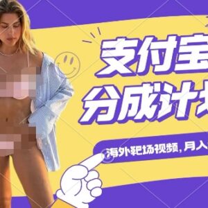 利用海外靶场射击视频运营支付宝生活号 赚播放分成副业实操指南-雨叶虚拟资源网