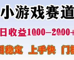 2025年暑期小游戏赛道稳定项目 低门槛易上手单日收益可达上千元-雨叶虚拟资源网