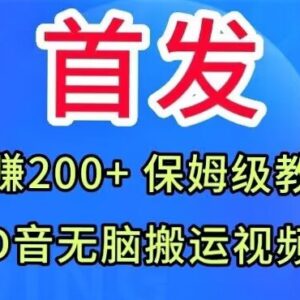 抖音无脑搬运视频保姆级教学 新手零门槛实操日赚200+完整指南-雨叶虚拟资源网