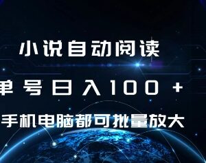 2024小说自动阅读挂机项目攻略 单号日入100+可批量放大操作-雨叶虚拟资源网