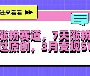 女性成长思维赛道涨粉运营教程 7天涨粉2W+三月变现实操方法-雨叶虚拟资源网