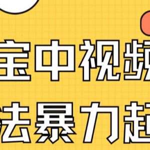 支付宝中视频影视暴力起号玩法 有播放即可获收益附配套素材-雨叶虚拟资源网