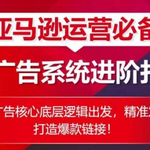 亚马逊运营必备:SP广告系统进阶打法 从底层逻辑打造爆款链接-雨叶虚拟资源网