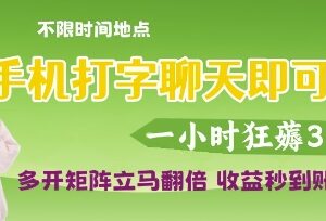 正规手机打字聊天赚钱项目实操 多号运营收益翻倍提现秒到账-雨叶虚拟资源网