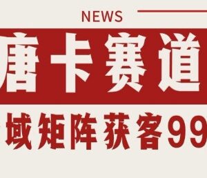 小红书抖音唐卡赛道引流获客 自热矩阵日引200+实操方法揭秘-雨叶虚拟资源网