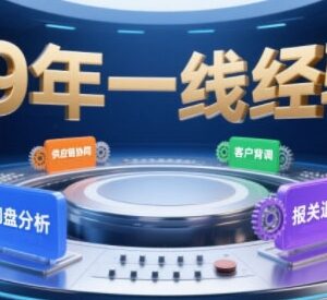 2025年外贸B2B入局必学课 系统拆解询盘背调到报关退税全流程-雨叶虚拟资源网