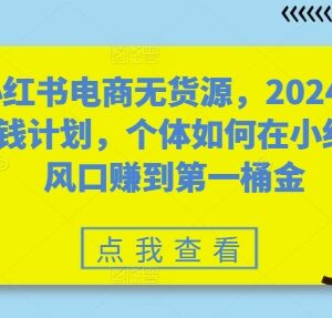 2024小红书无货源电商实操攻略 个体开店赚第一桶金指南-雨叶虚拟资源网